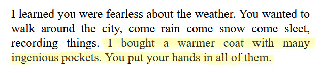 Quote: I learned you were fearless about the weather. You wanted to walk around the city, come rain come snow come sleet, recording things. [Highlighted:] I bought a warmer coat with many ingenious pockets. You put your hands in all of them.